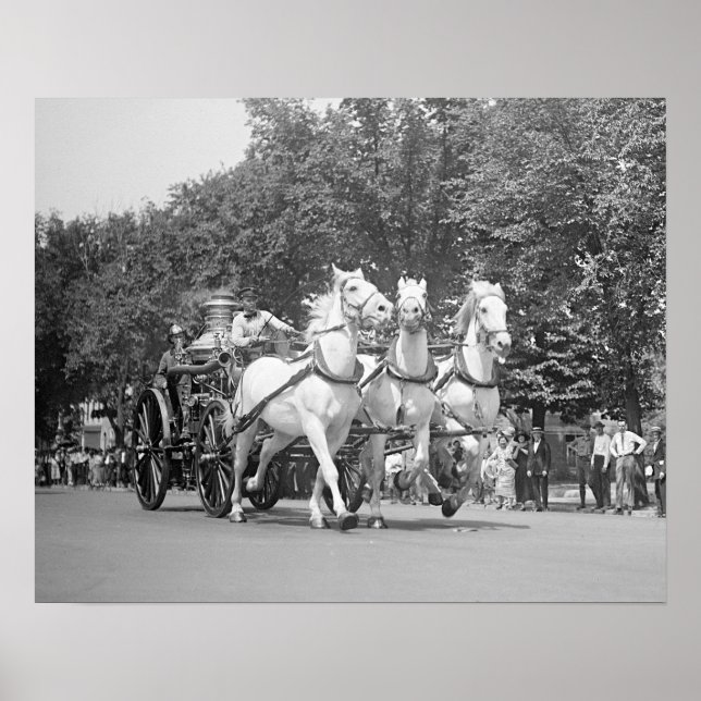 Póster Caballos del Departamento de Bomberos, 1925. Foto  (Frente)