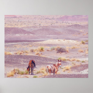 Póster Caballos del Desierto P8639