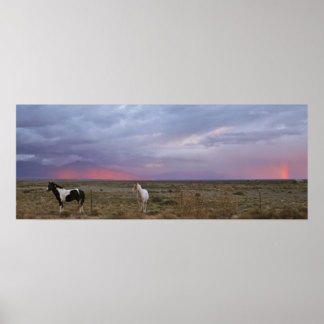 Póster Caballos después de la tormenta (Frente)