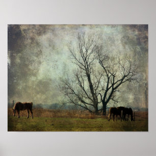 Póster Caballos en el campo