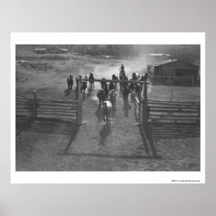 Póster Caballos en el corral