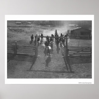Póster Caballos en el corral