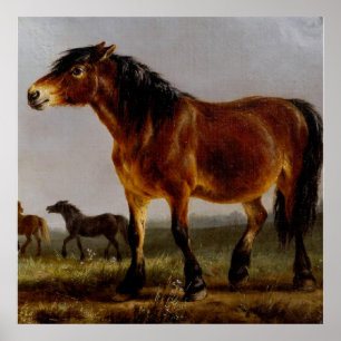 Póster Caballos en el paisaje llano