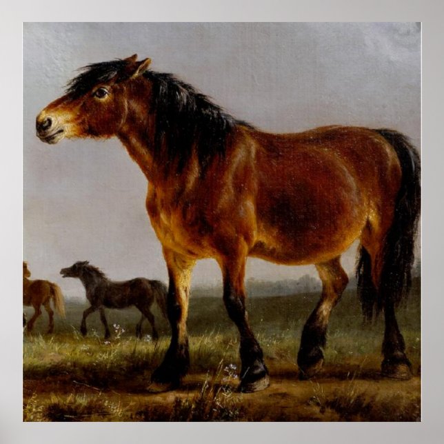 Póster Caballos en el paisaje llano (Frente)