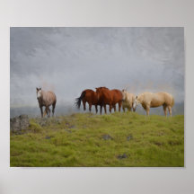 Caballos en la pastura