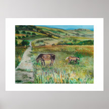 Caballos en la pradera