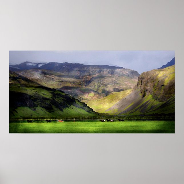 Póster Caballos en marcha Islandia (Frente)
