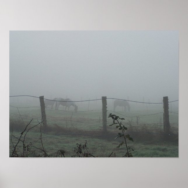 Póster Caballos en niebla matutina (Frente)