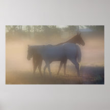 Caballos en niebla matutina