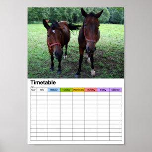 Póster Caballos en pastura / Horario