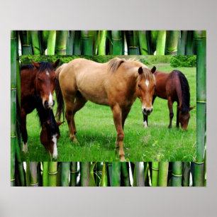 PÓSTER CABALLOS FELICES