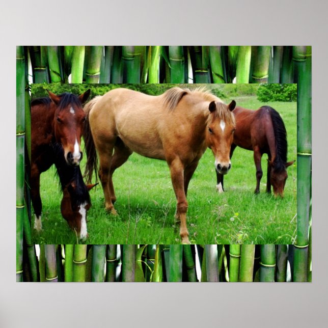 PÓSTER CABALLOS FELICES (Frente)