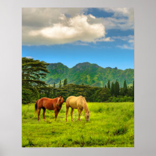 Póster Caballos hawaianos, pico de Hokulei, kauai, vertic