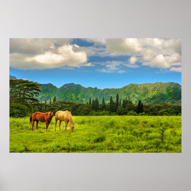 Póster Caballos hawaianos, Pico Hokulei, Kauai, Hawai (Frente)