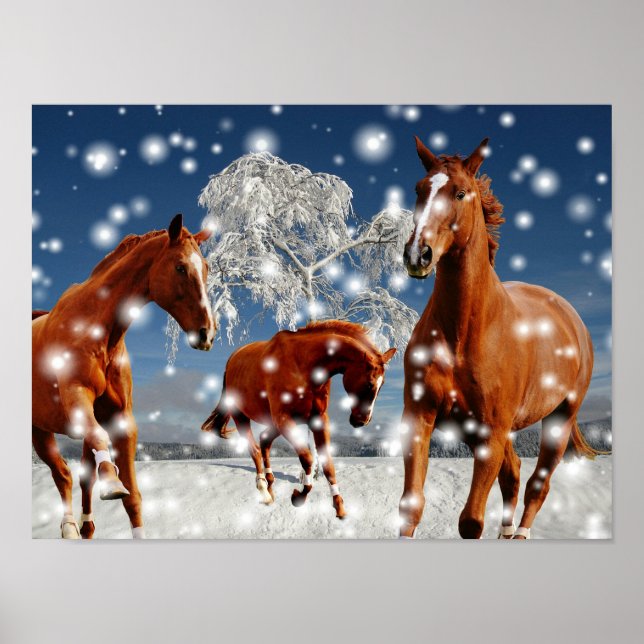 Póster Caballos Jugando En Nieve (Frente)