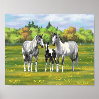 Póster Caballos Pinto Gris Moteado En Pastizal De Verano