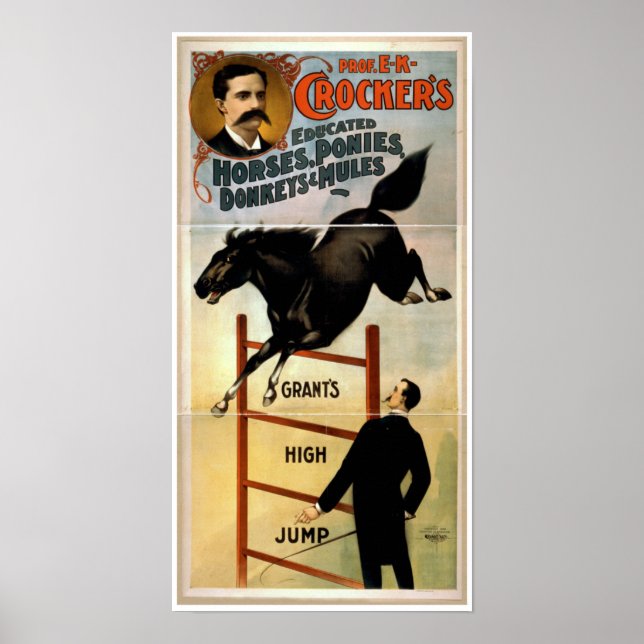 Póster Caballos, ponis, burros y mulas educados (Frente)