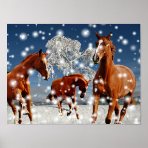 Póster Caballos que juegan en nieve