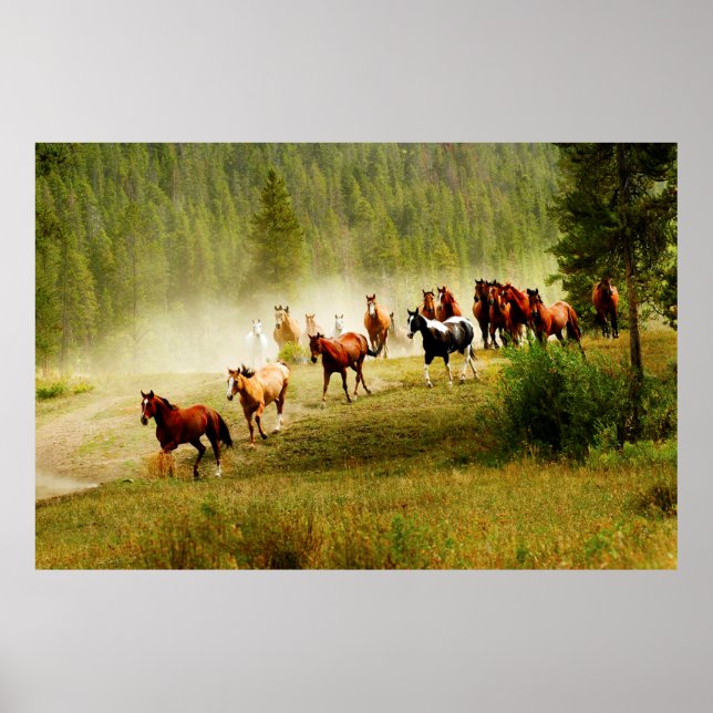 Póster Caballos salvajes (Frente)