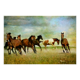 Póster Caballos Salvajes