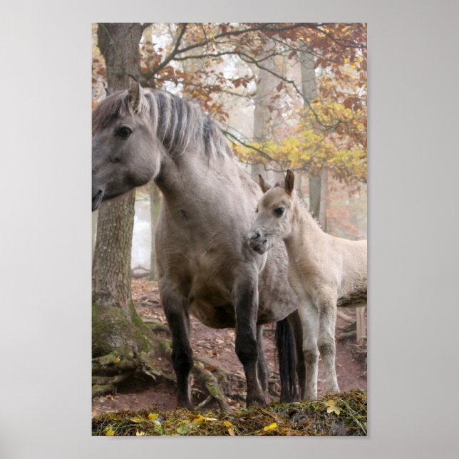 Póster Caballos salvajes (Frente)