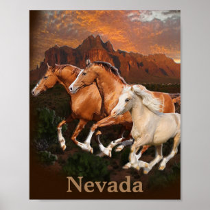 Póster caballos salvajes de Arizona