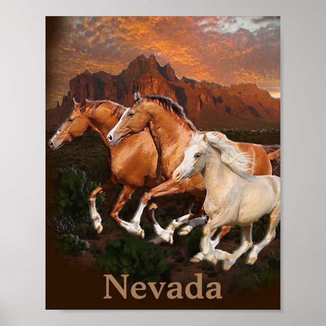 Póster caballos salvajes de Arizona (Frente)