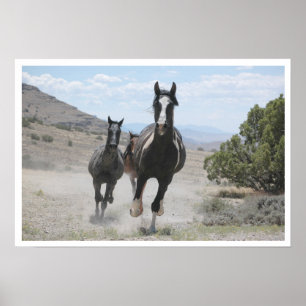 Póster Caballos salvajes de Utah corriendo