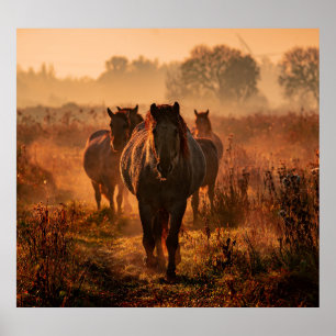 Póster Caballos salvajes: Encuentro de Intenso Contacto d