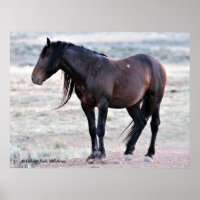 Caballos salvajes McCullough Peaks