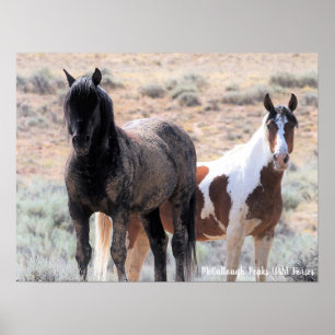 Póster Caballos salvajes McCullough Peaks