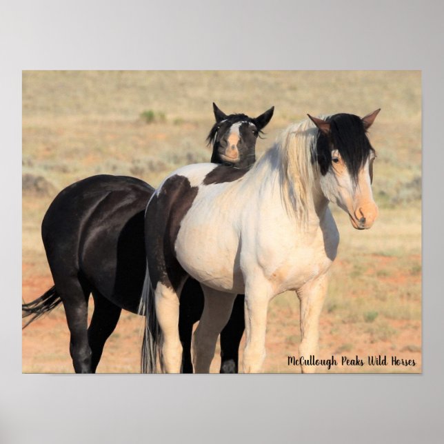 Póster Caballos salvajes McCullough Peaks (Frente)