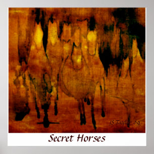 Póster Caballos secretos