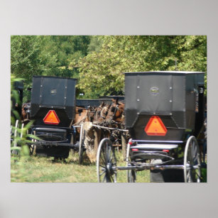 Póster Caballos y buggies de Amish