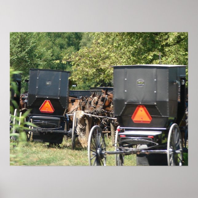 Póster Caballos y buggies de Amish (Frente)