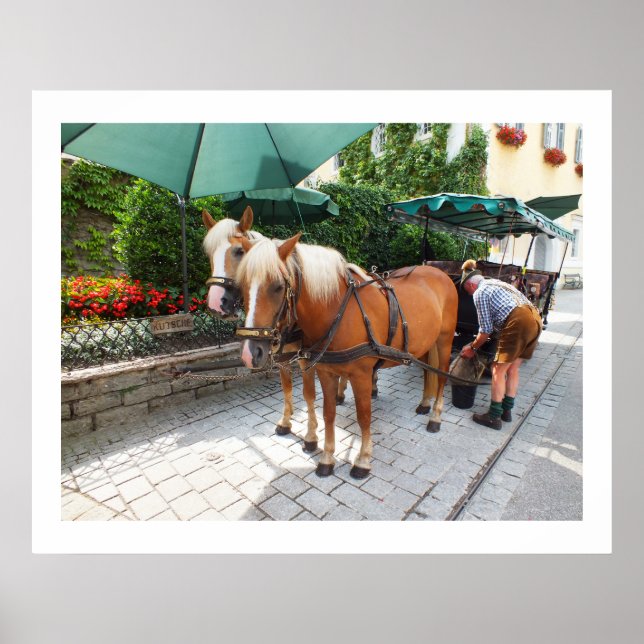 Póster Caballos y carruaje en St Wolfgang (Frente)