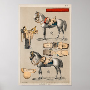 Póster Caballos y sillones