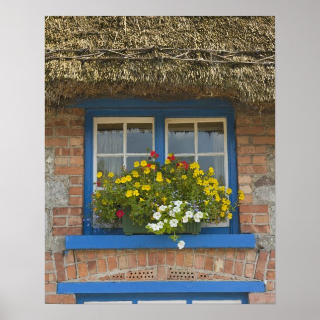 Póster Cabaña con techo de paja, Adare, condado de Limeri (Frente)