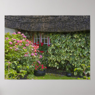 Póster Cabaña con techo de paja, Adare, condado de Limeri