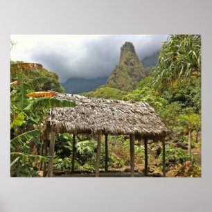 Póster Cabaña en el Parque Estatal del Valle de Iao, Maui