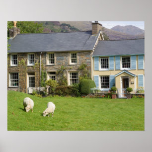 Póster Cabañas, Beddgelert, Gwynedd, Gales