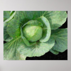 Póster Cabbage