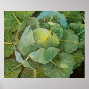 Póster Cabbage