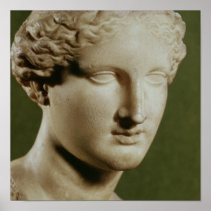 Póster Cabeza de Artemis