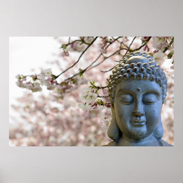 Póster Cabeza de Buda contra Poster de flores de cerezo S (Frente)