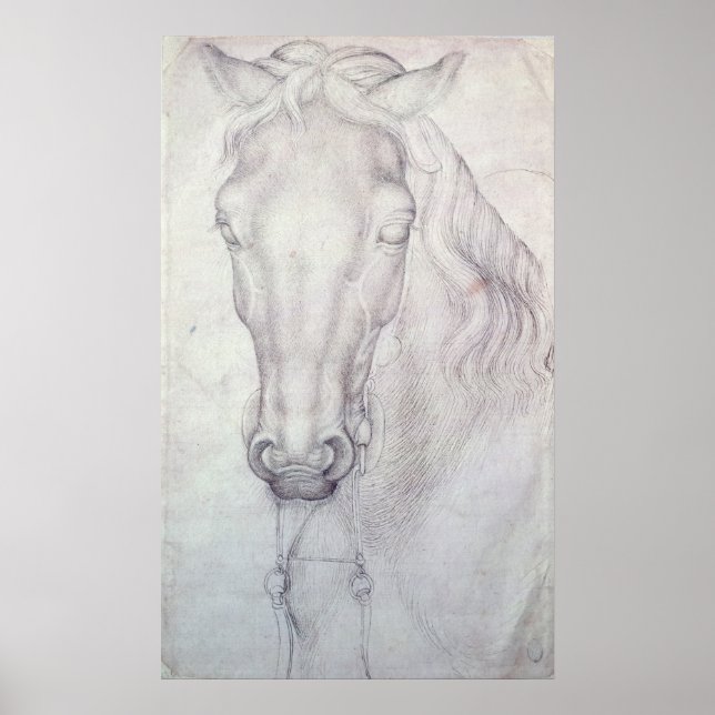 Póster Cabeza de caballo (Frente)