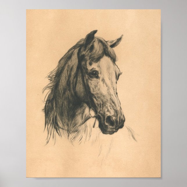 Póster Cabeza de caballo por Heywood Hardy (Frente)