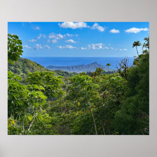 Póster Cabeza de diamante