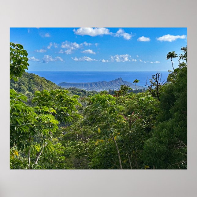 Póster Cabeza de diamante (Frente)