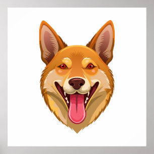 Póster Cabeza de dingo perro salvaje australiano
